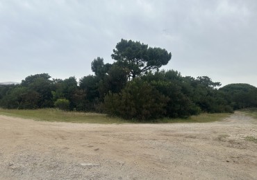 ESPECTACULAR LOTE 4963 M2. EN COLONIA MARINA VILLA GESELL.